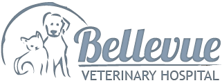 Bellevue Vet Clinic